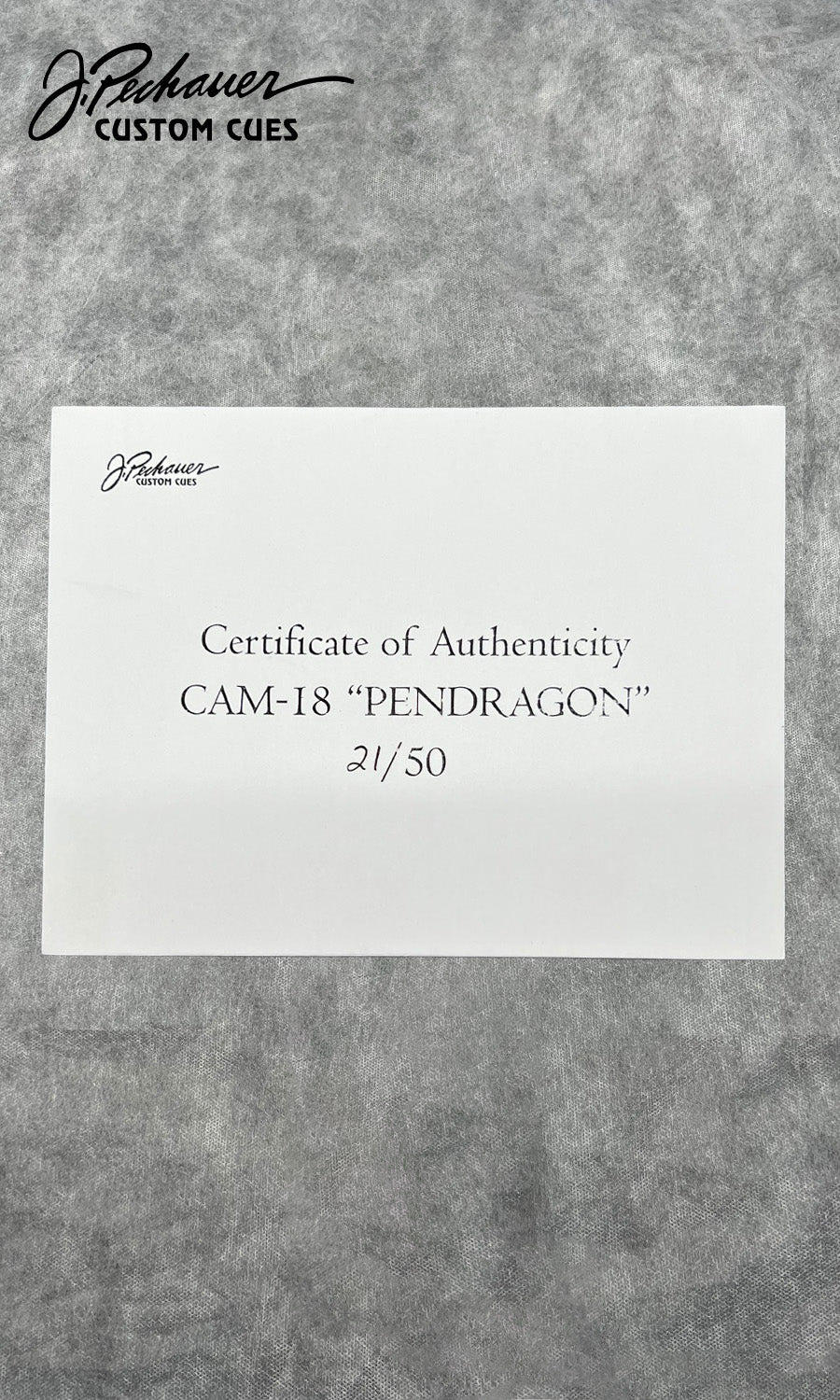 CAM-18 Pendragon Limited